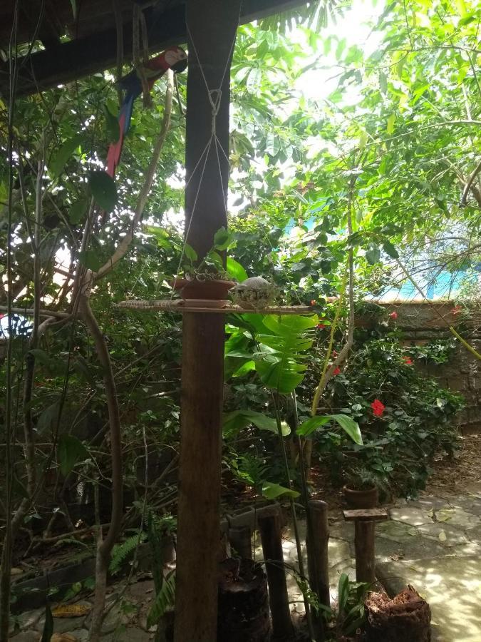 Pousada Recanto Devas Cabo Frio Buitenkant foto